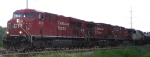 CP 8713